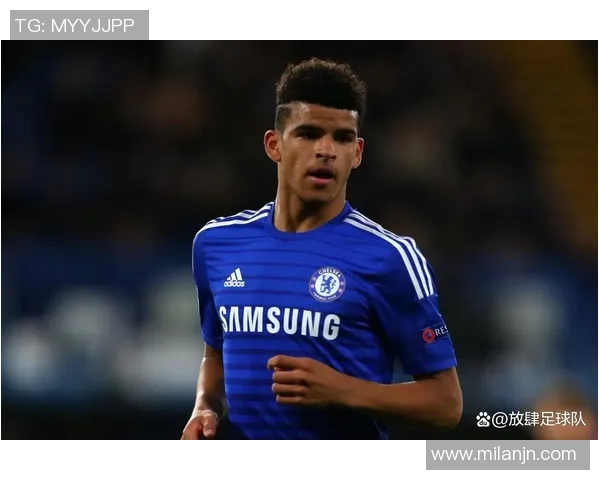 男子涉嫌谋杀未遂前切尔西青训球员扬盖奥案件引发关注